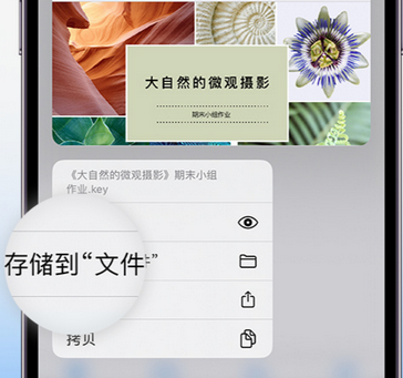 开福apple维修中心分享iPhone文件应用中存储和找到下载文件