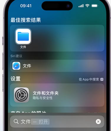 开福apple维修中心分享iPhone文件应用中存储和找到下载文件