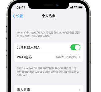 开福apple服务站点分享iPhone上个人热点丢失了怎么办 