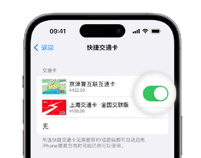 开福apple维修点分享iPhone上更换Apple Pay快捷交通卡手绘卡面 