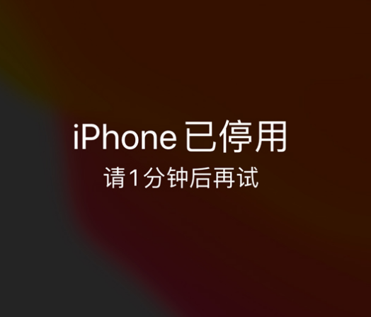 开福苹果手机维修分享:iPhone 显示“不可用”或“已停用”怎么办？还能保留数据吗？ 