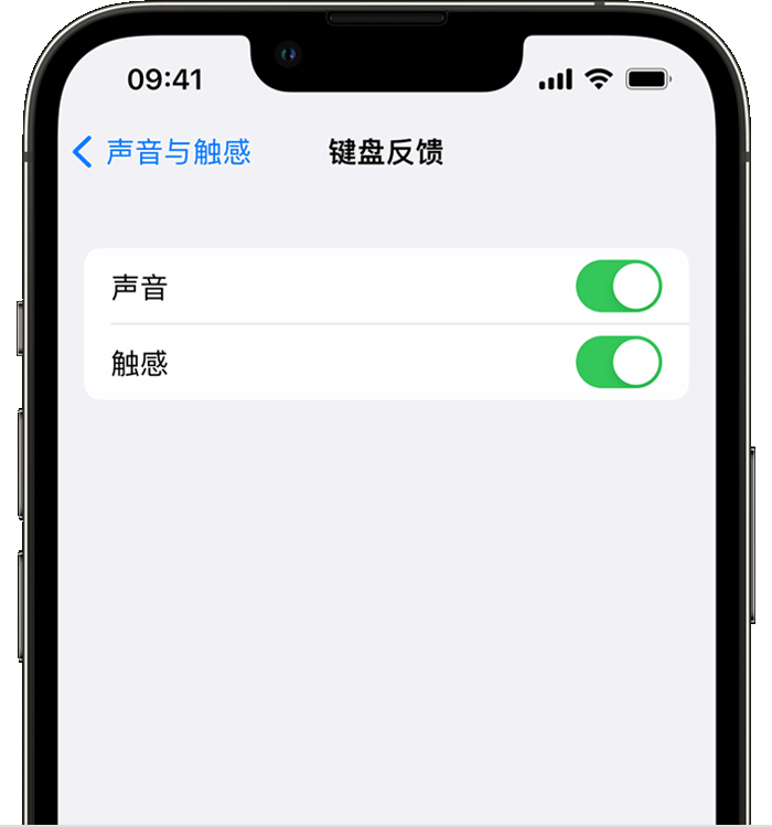 开福苹果14维修店分享如何在 iPhone 14 机型中使用触感键盘 