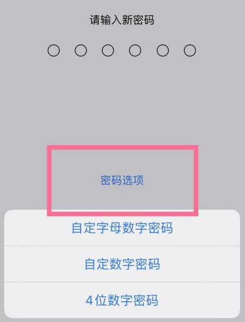 开福苹果14维修分享iPhone 14plus设置密码的方法 