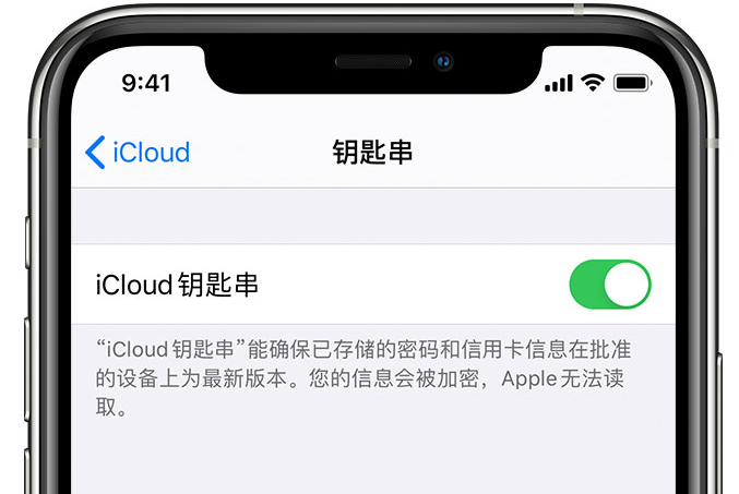 开福苹果手机维修分享在 iPhone 上开启 iCloud 钥匙串之后会储存哪些信息 