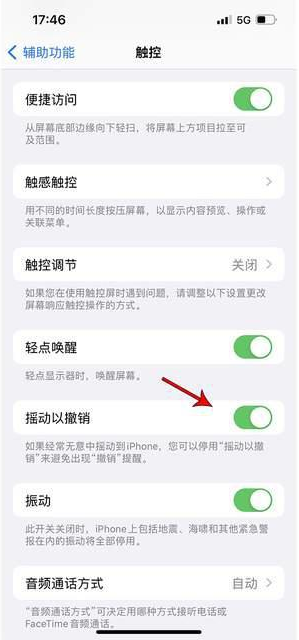 开福苹果手机维修分享iPhone手机如何设置摇一摇删除文字 